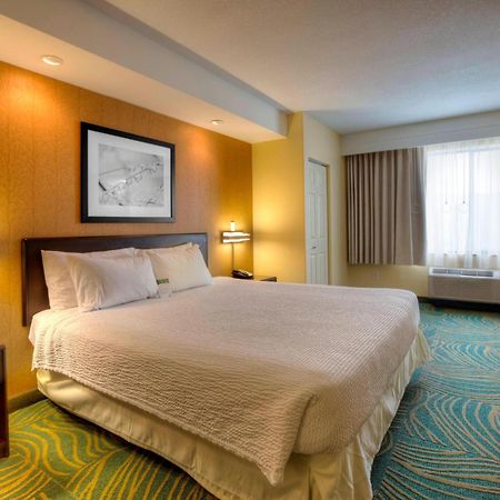 Springhill Suites By Marriott - Tampa Brandon Eksteriør billede